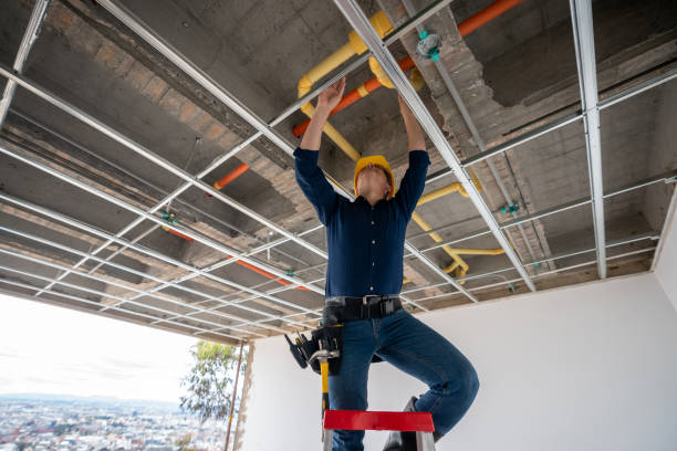 Best Local Plumber Services  in Start, LA