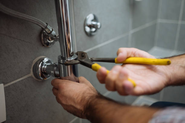 Trusted Start, LA Plumbing Experts